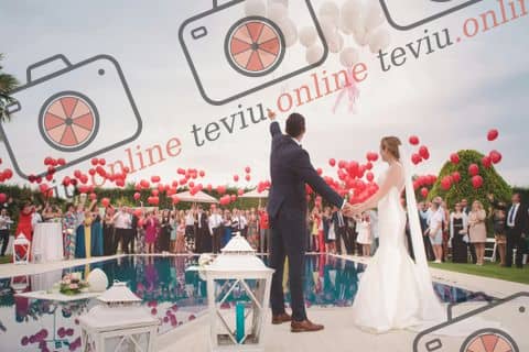 Festa